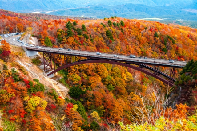 旅先の画像