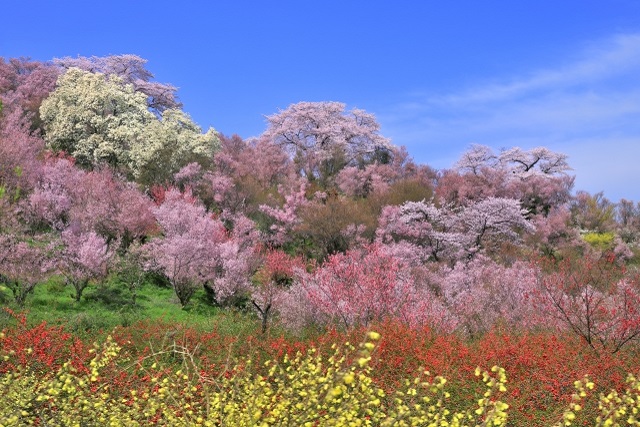旅先の画像