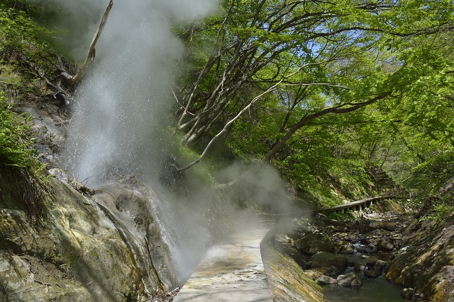 旅先の画像