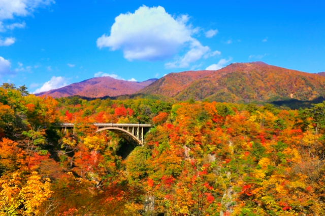 旅先の画像