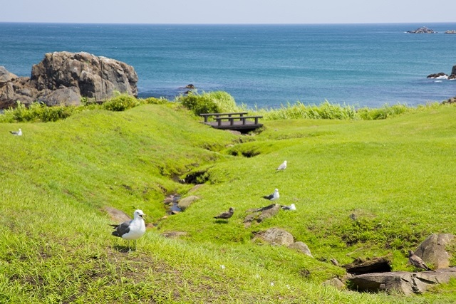 旅先の画像