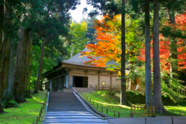 旅先の画像