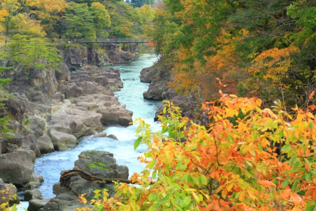 旅先の画像