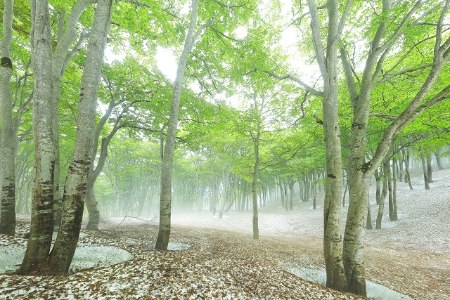旅先の画像