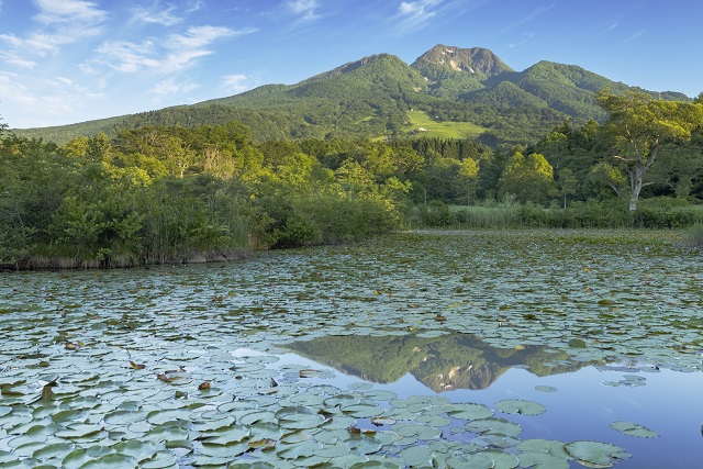 旅先の画像