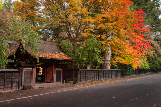 旅先の画像