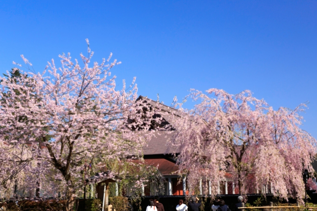 旅先の画像