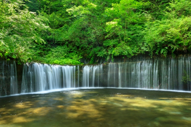 旅先の画像
