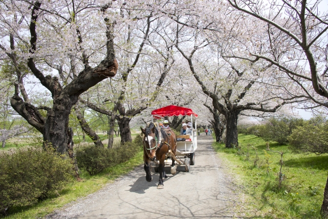 旅先の画像