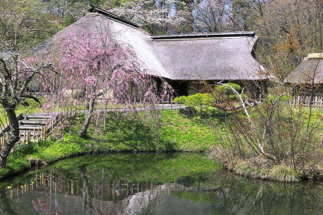 旅先の画像