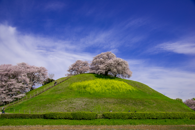旅先の画像