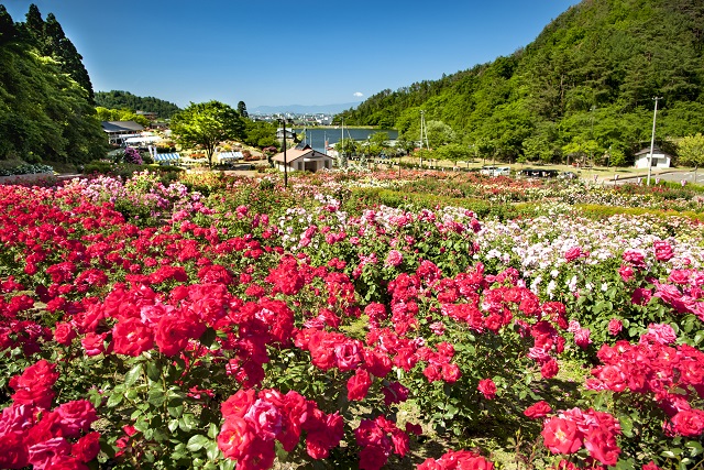 旅先の画像