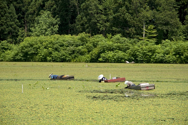 旅先の画像