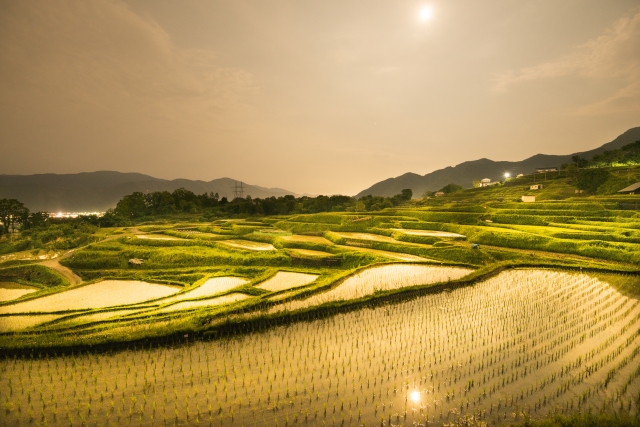 旅先の画像