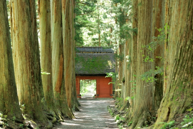 旅先の画像