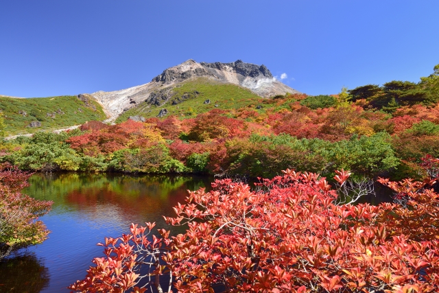 旅先の画像