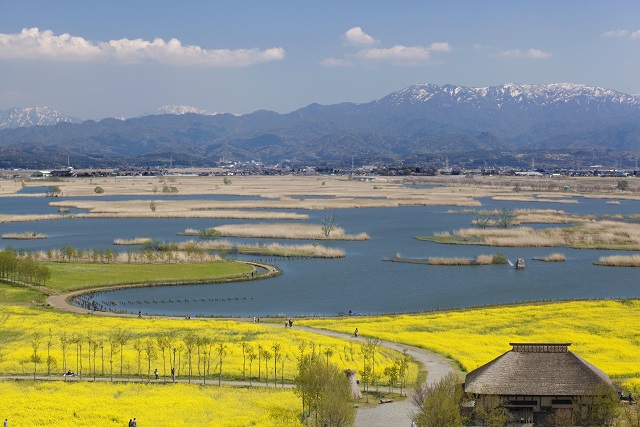 旅先の画像