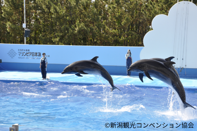 旅先の画像