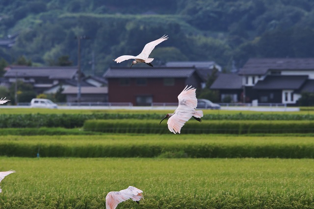 旅先の画像