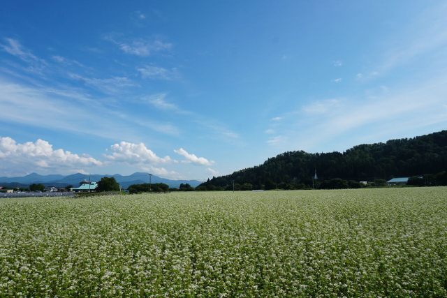 旅先の画像