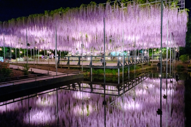 旅先の画像