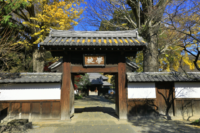 旅先の画像