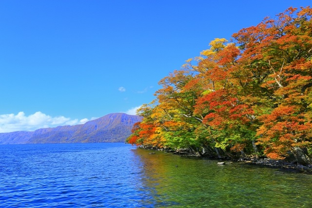 旅先の画像