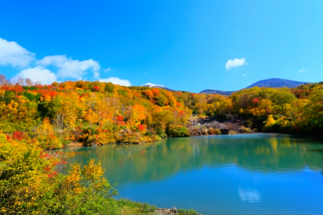 旅先の画像