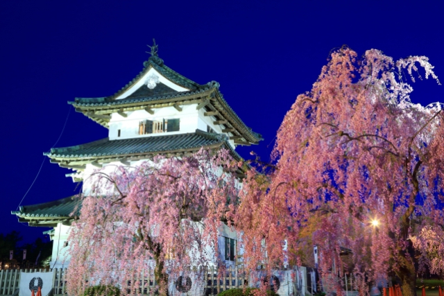 旅先の画像