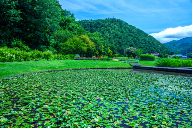 旅先の画像