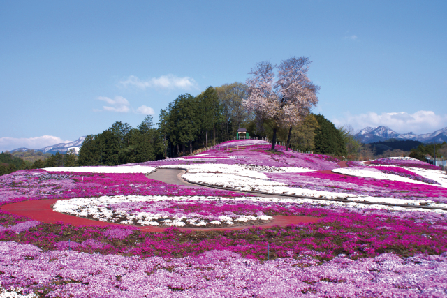 旅先の画像