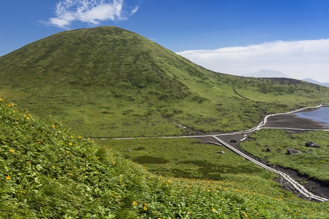 旅先の画像