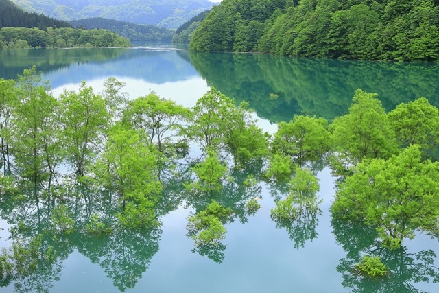旅先の画像