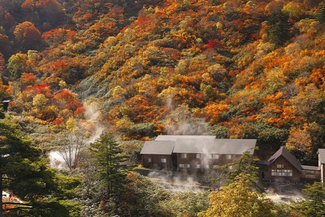 旅先の画像