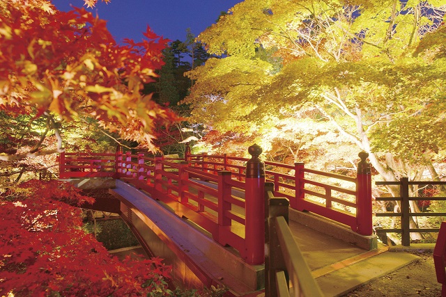 旅先の画像