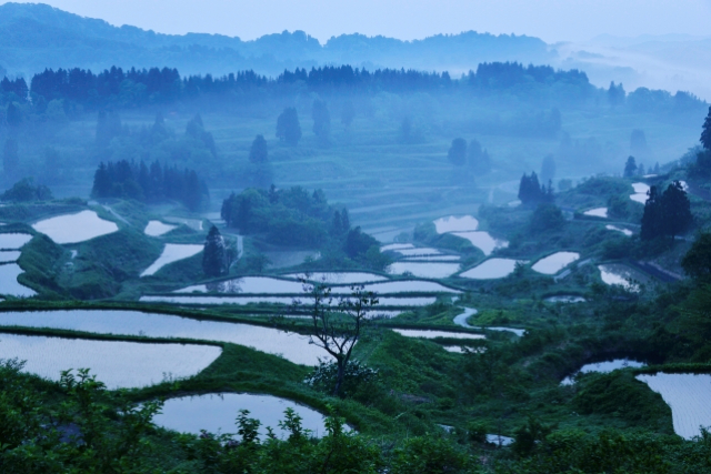 旅先の画像