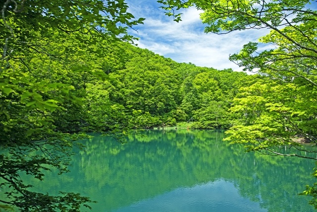旅先の画像