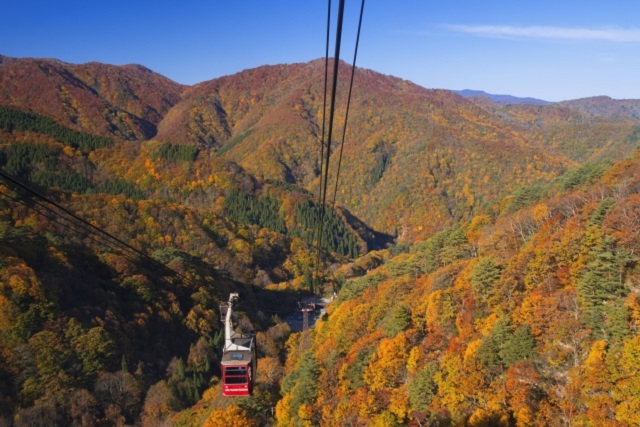 旅先の画像